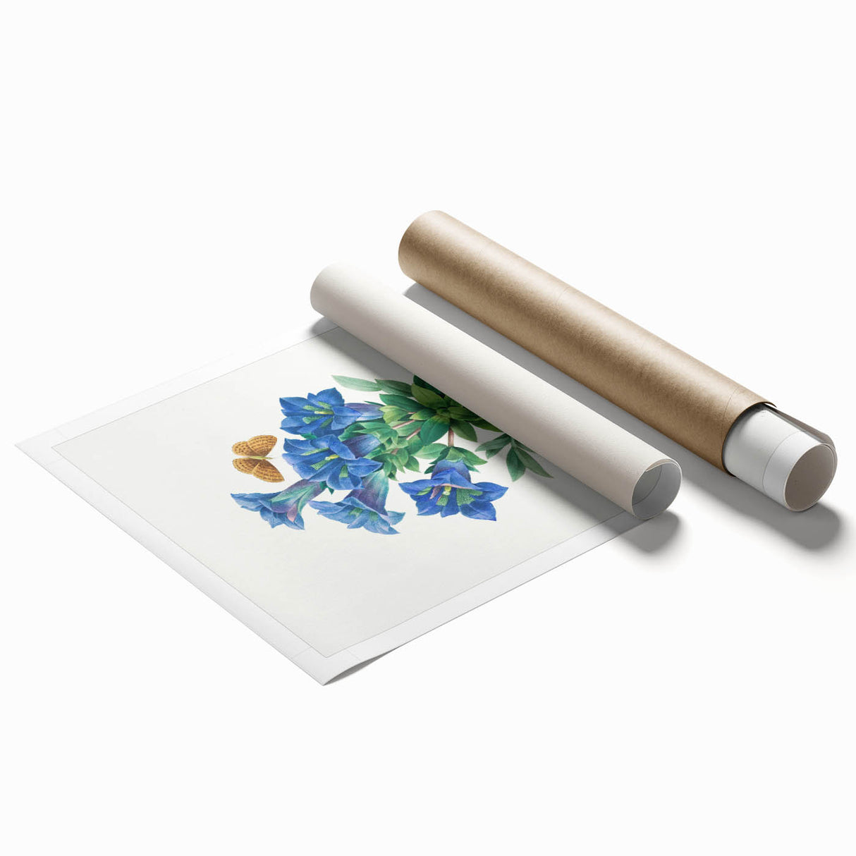 Neoclassical Art Print of Gentiana Acaulis by Redouté - Classical Style