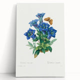 Neoclassical Art Print of Gentiana Acaulis by Redouté - Classical Style