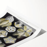 Modern Wall Art - Blastoidea by Ernst Haeckel - Vintage Botanical Print