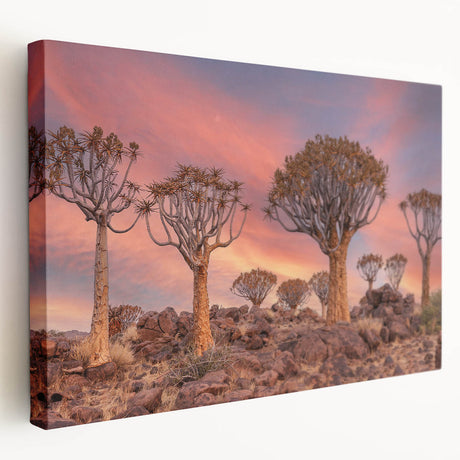 Large canvas art depicting a serene Namibian landscape in earthy tones, ideal for kitchen wall art.