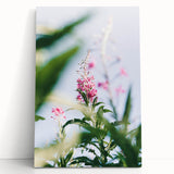 Large black and white stretched canvas depicting a spring scene, ideal for kitchen wall art or bedroom ambiance.