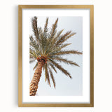 Extra large abstract art print with textured design in gold and white tones on canvas, suitable for living room decor.