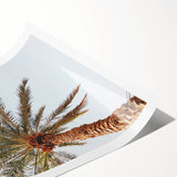 Extra large wall art featuring line art flowers in black on white, rolled canvas, suitable for large living room decor.