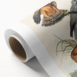 Romanticism Art: Marsh Hawk from Birds of America - Historical Canvas