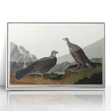 Romanticism Art: Dusky Grouse by John Audubon - Classic Canvas Print