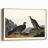 Romanticism Art: Dusky Grouse by John Audubon - Classic Canvas Print