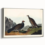 Romanticism Art: Dusky Grouse by John Audubon - Classic Canvas Print