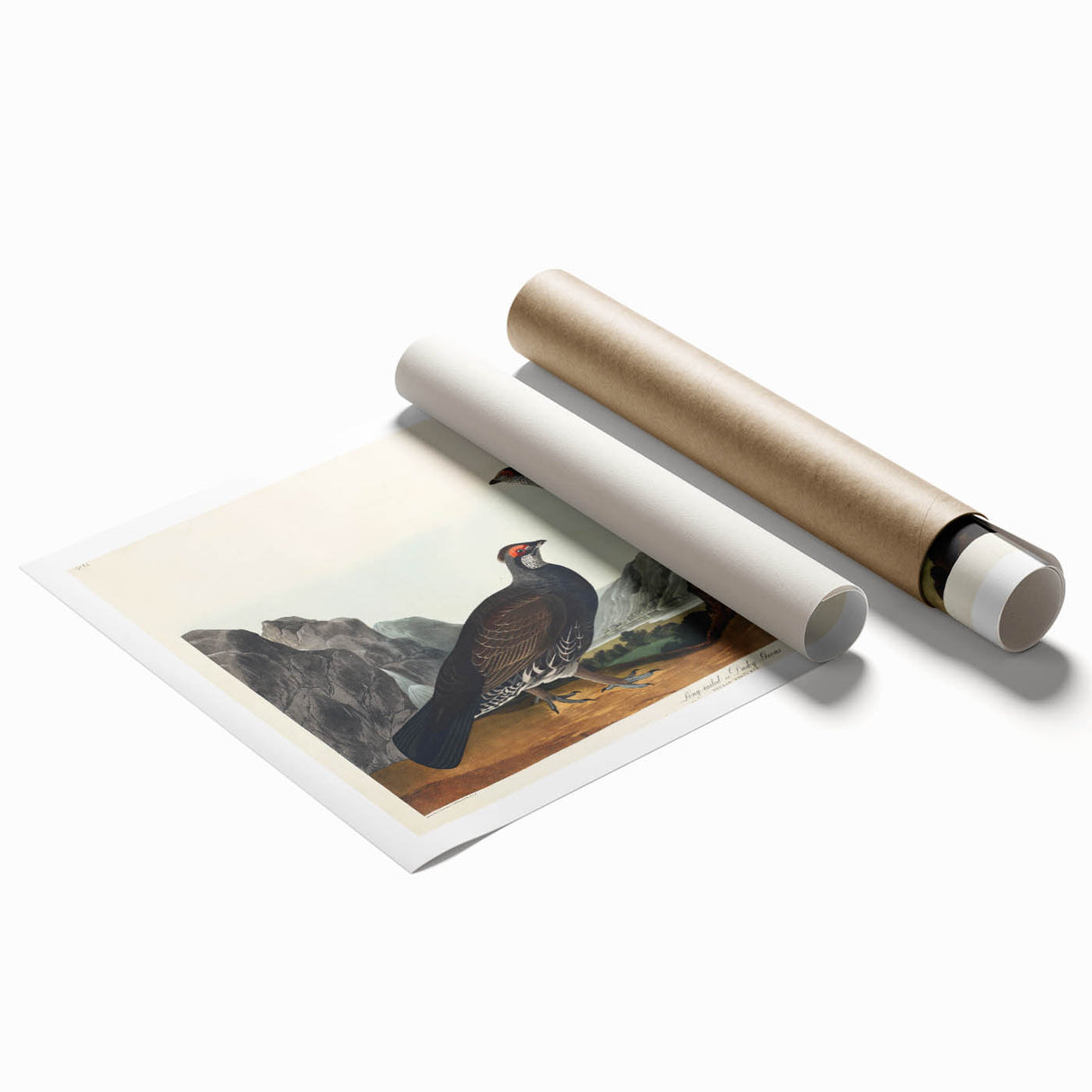Romanticism Art: Dusky Grouse by John Audubon - Classic Canvas Print