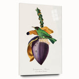 Romanticism Art: Treecreeper Bird by Paul Gervais - Classic Print