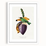 Romanticism Art: Treecreeper Bird by Paul Gervais - Classic Print