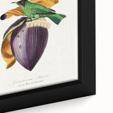 Romanticism Art: Treecreeper Bird by Paul Gervais - Classic Print