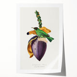 Romanticism Art: Treecreeper Bird by Paul Gervais - Classic Print