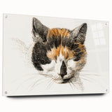 Romanticism Art: Calico Cat by Jean Bernard - Classic Animal Portrait