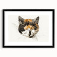 Romanticism Art: Calico Cat by Jean Bernard - Classic Animal Portrait