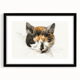 Romanticism Art: Calico Cat by Jean Bernard - Classic Animal Portrait