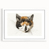 Romanticism Art: Calico Cat by Jean Bernard - Classic Animal Portrait