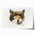Romanticism Art: Calico Cat by Jean Bernard - Classic Animal Portrait