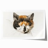 Romanticism Art: Calico Cat by Jean Bernard - Classic Animal Portrait