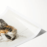 Romanticism Art: Calico Cat by Jean Bernard - Classic Animal Portrait