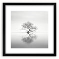 Minimalist Tree Reflection Wall Art - Modern Black & White Print