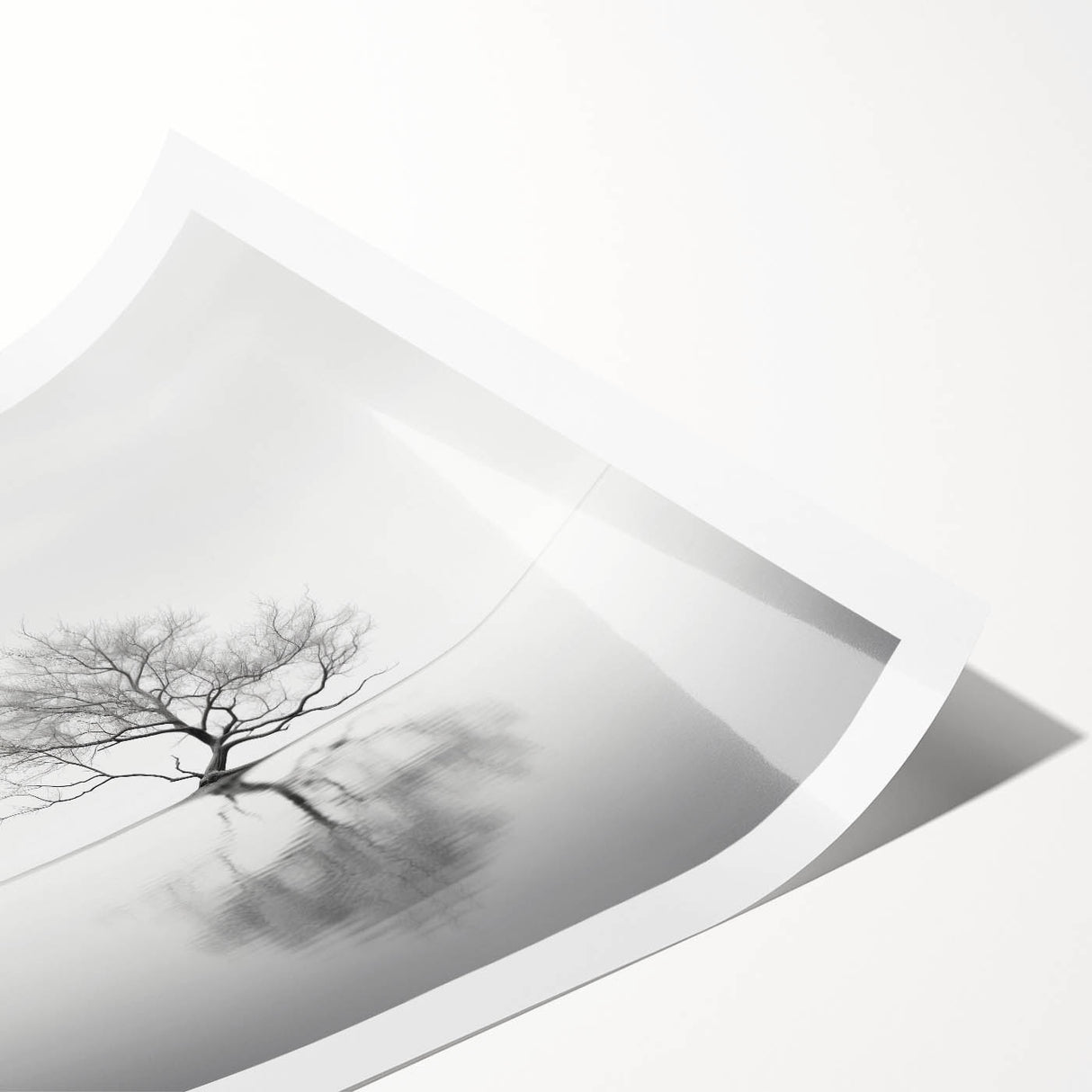 Minimalist Tree Reflection Wall Art - Modern Black & White Print