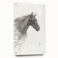 Old Horse - Impressionist Sketch Art by Henri de Toulouse-Lautrec