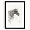 Old Horse - Impressionist Sketch Art by Henri de Toulouse-Lautrec