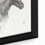 Old Horse - Impressionist Sketch Art by Henri de Toulouse-Lautrec