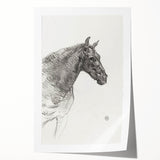 Old Horse - Impressionist Sketch Art by Henri de Toulouse-Lautrec