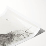 Old Horse - Impressionist Sketch Art by Henri de Toulouse-Lautrec