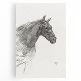 Old Horse - Impressionist Sketch Art by Henri de Toulouse-Lautrec