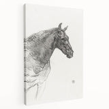 Old Horse - Impressionist Sketch Art by Henri de Toulouse-Lautrec