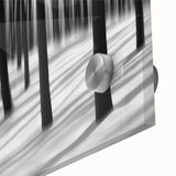 Blurred Winter Forest – Dynamic Black and White Motion Wall Art