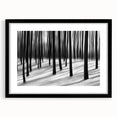 Blurred Winter Forest – Dynamic Black and White Motion Wall Art