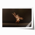 Fluid Echo – Emotional Wall Art in Expressive Motion Photography