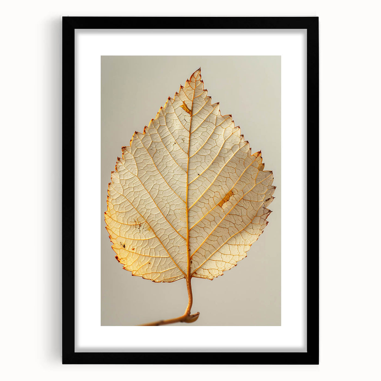 Floral wall art print featuring vibrant flowers and botanical leaves, elegantly framed in a sleek black frame with a white mat, perfect for home decor.