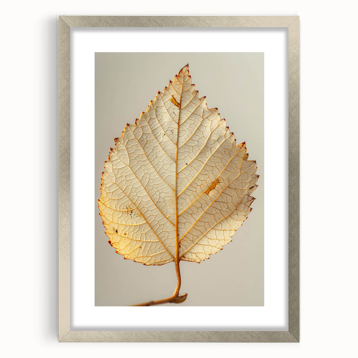 Framed wall art featuring an elegant design of flowers and botanical leaves, displayed in a silver mat frame, perfect for enhancing home decor and bringing nature indoors.