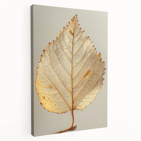Stretched canvas wall art showcasing vibrant floral and botanical designs in a modern aesthetic, perfect for home decor. Side view highlights the canvas's depth and texture, ideal for adding a touch of nature-inspired elegance to any room.