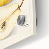 Close-up of large abstract wall art featuring assorted fruits in vibrant colors on acrylic glass.