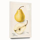 Large abstract wall art featuring assorted fruits in vibrant colors on acrylic glass, suitable for dining room decor.