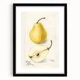 Extra large canvas featuring abstract art prints of colorful fruits, with textured details, ideal for living room decor.