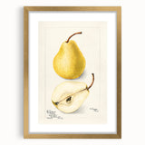 Extra large abstract art print featuring assorted fruits in textured gold frame, suitable for living room decor.