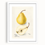 Abstract art print featuring assorted fruits in vibrant colors on a white framed mat, ideal for dining room decor.