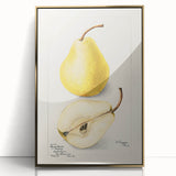 Large art print of various fruits in vibrant colors on a gold-framed acrylic, styled in mid-century modernist design.