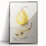 Mid-century modernist art featuring assorted fruits in bold colors on a silver-framed acrylic print.