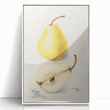Art Deco poster featuring an array of vibrant fruits on a white acrylic framed canvas, ideal for modern kitchen decor.