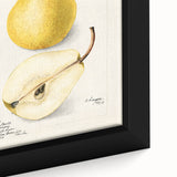 Extra large black wall art on canvas featuring a close-up of colorful, textured fruits, ideal for living room decor.