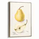 Framed canvas featuring a vintage poster art design of assorted fruits in muted gold and black tones.