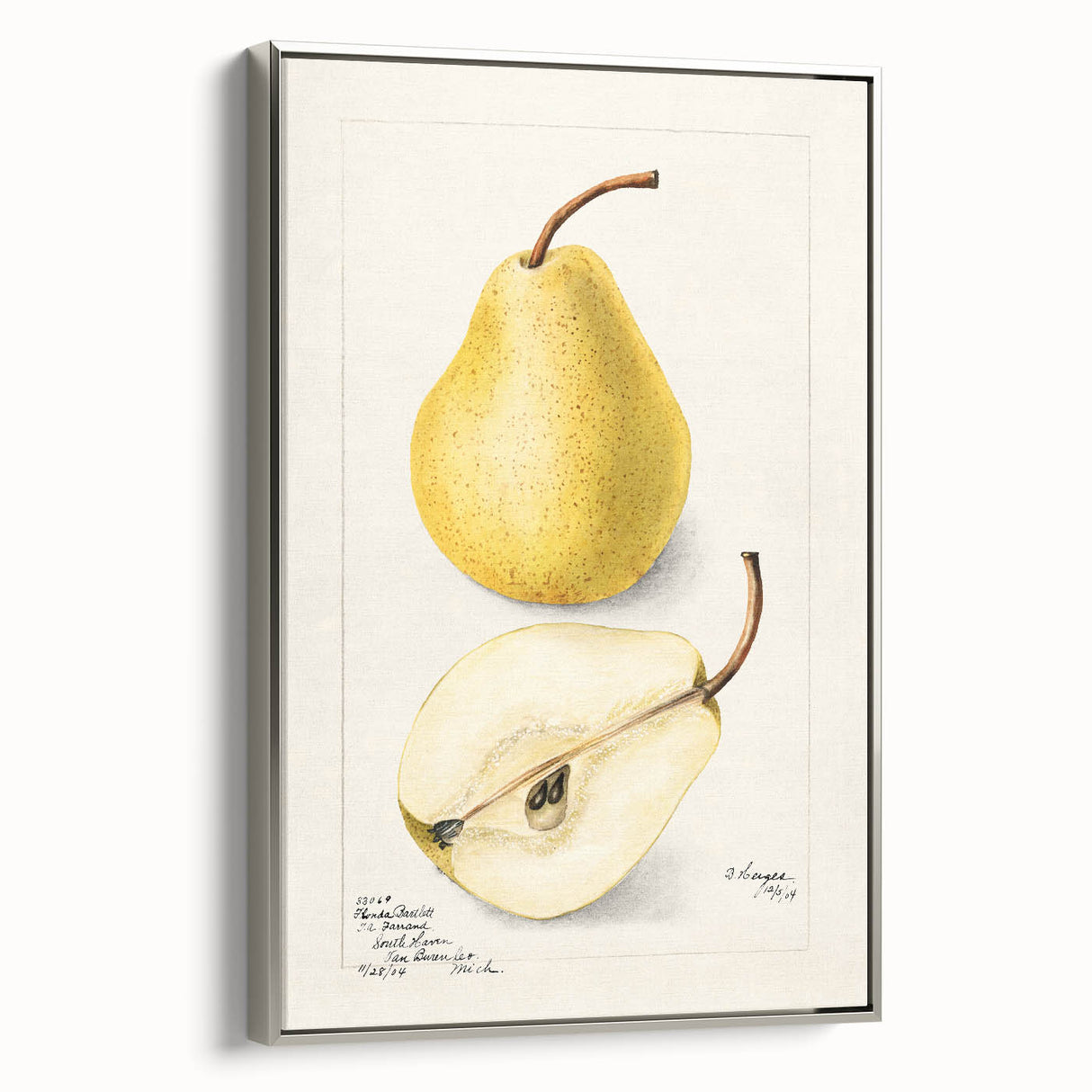 Framed canvas depicting vintage poster art of colorful fruits, ideal for kitchen wall decor.