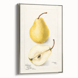 Framed canvas depicting vintage poster art of colorful fruits, ideal for kitchen wall decor.